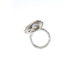 Shell ring