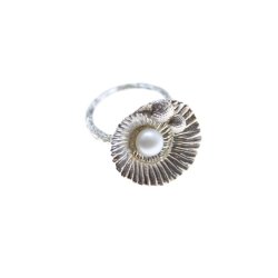 Shell ring